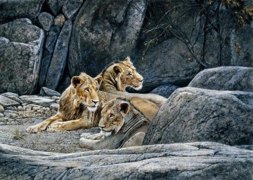 lions au rocher Peinture à l'huile